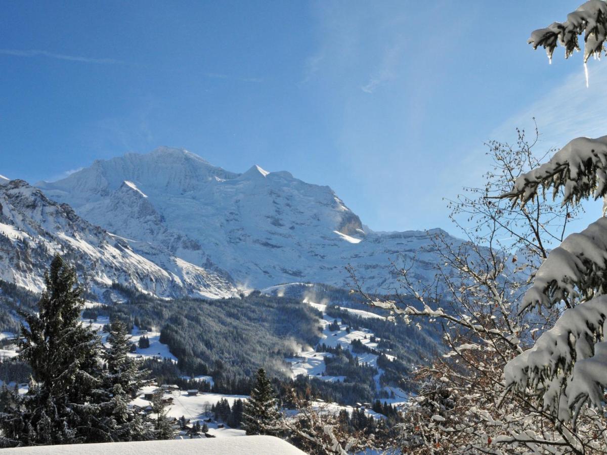 Studio Chalet Silence By Interhome Wengen Exterior photo